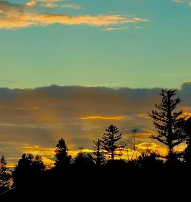 dreams-words-forest-sunset