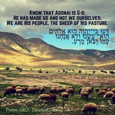 Sheep-Psalm-100-vs-3